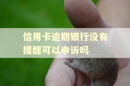 信用卡逾期银行没有提醒可以申诉吗