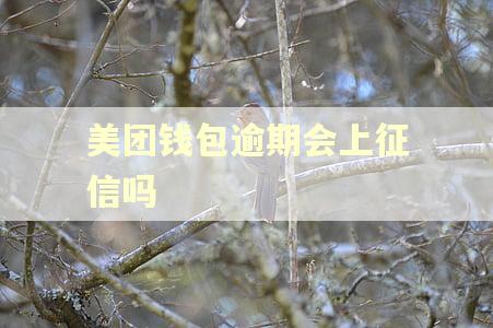 美团钱包逾期会上征信吗 美团钱包逾期会上征信吗