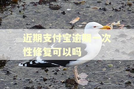 近期支付宝逾期一次性修复可以吗