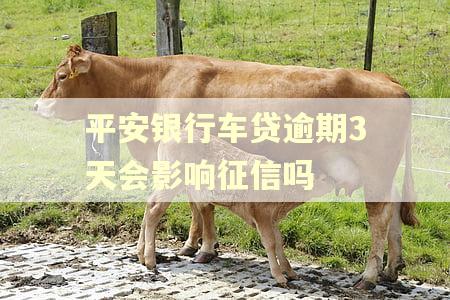 平安银行车贷逾期3天会影响征信吗