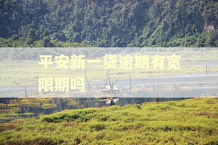 平安新一贷逾期有宽限期吗