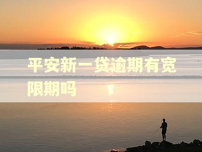 平安新一贷逾期有宽限期吗