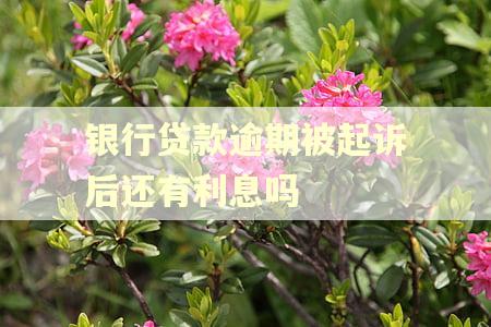 银行贷款逾期被起诉后还有利息吗