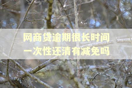 网商贷逾期很长时间一次性还清有减免吗