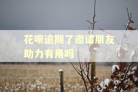 花呗逾期了邀请朋友助力有用吗 花呗逾期了邀请朋友助力有用吗