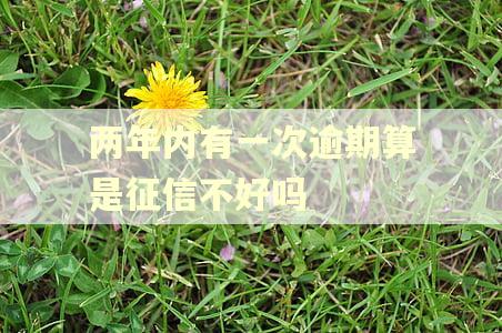 两年内有一次逾期算是征信不好吗