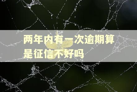 两年内有一次逾期算是征信不好吗