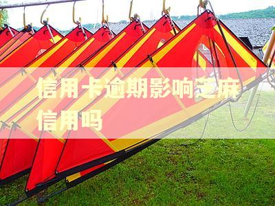信用卡逾期影响芝麻信用吗 信用卡逾期影响芝麻信用吗