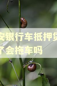 平安银行车抵押贷逾期了会拖车吗