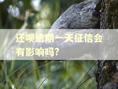 还呗逾期一天征信会有影响吗?