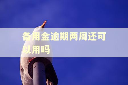 备用金逾期两周还可以用吗