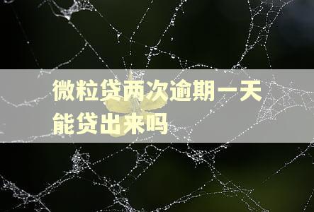 微粒贷两次逾期一天能贷出来吗