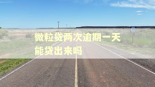 微粒贷两次逾期一天能贷出来吗