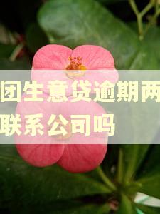 美团生意贷逾期两天会联系公司吗