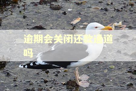 逾期会关闭还款通道吗