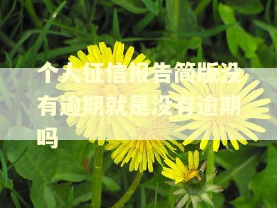 个人征信报告简版没有逾期就是没有逾期吗