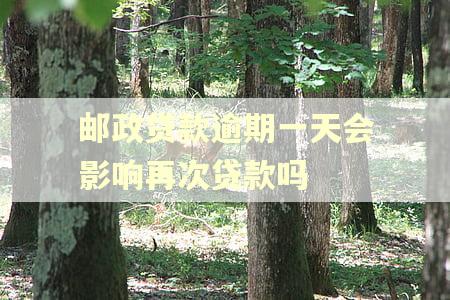 邮政贷款逾期一天会影响再次贷款吗