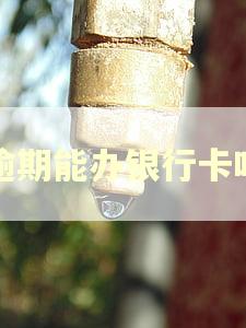 逾期能办银行卡吗