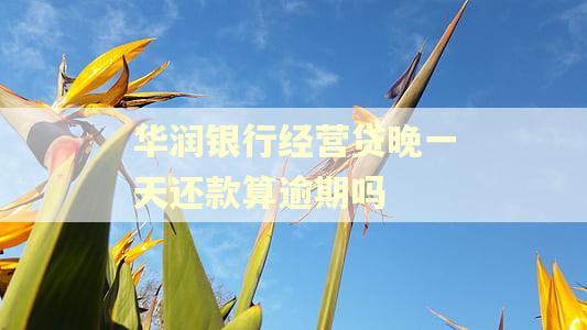 华润银行经营贷晚一天还款算逾期吗