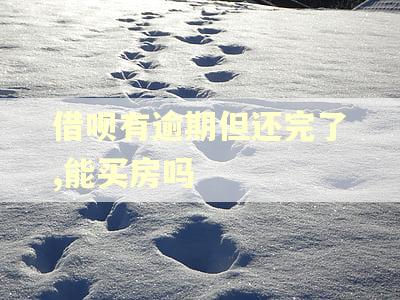 借呗有逾期但还完了,能买房吗