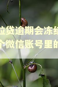 微粒贷逾期会冻结另一个微信账号里的钱吗