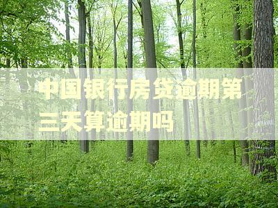 中国银行房贷逾期第三天算逾期吗