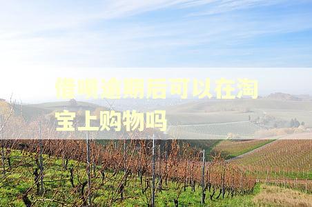 借呗逾期后可以在淘宝上购物吗