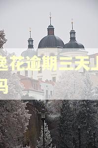 安逸花逾期三天上征信吗 安逸花逾期三天上征信吗