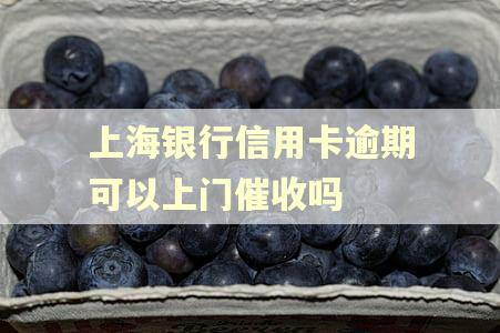 上海银行信用卡逾期可以上门催收吗 上海银行信用卡逾期可以上门催收吗