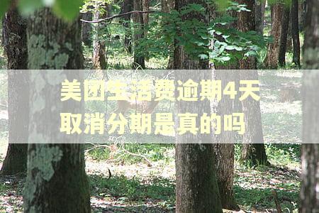 美团生活费逾期4天取消分期是真的吗