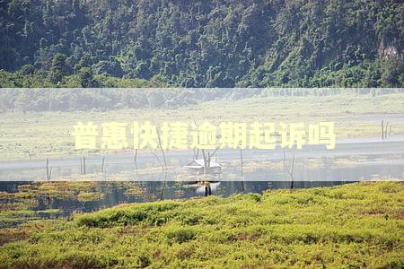 普惠快捷逾期起诉吗