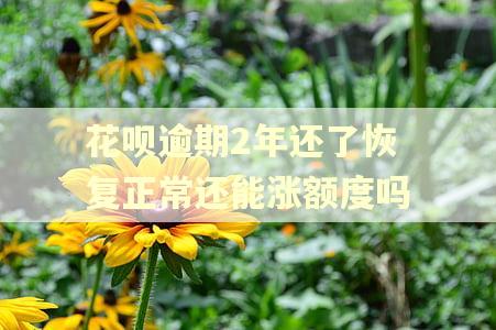 花呗逾期2年还了恢复正常还能涨额度吗