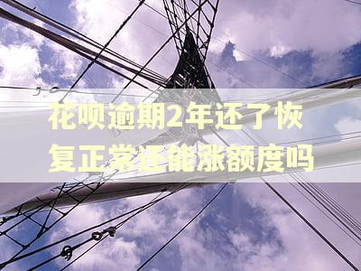 花呗逾期2年还了恢复正常还能涨额度吗