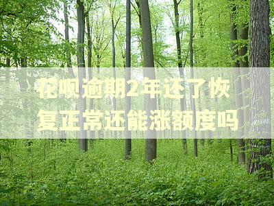 花呗逾期2年还了恢复正常还能涨额度吗