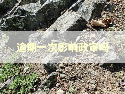 逾期一次影响政审吗