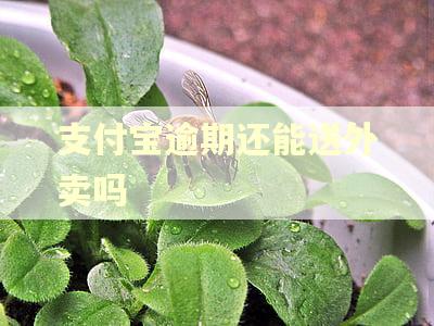 支付宝逾期还能送外卖吗