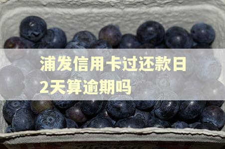 浦发信用卡过还款日2天算逾期吗