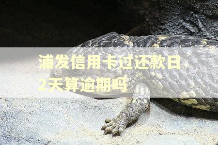 浦发信用卡过还款日2天算逾期吗
