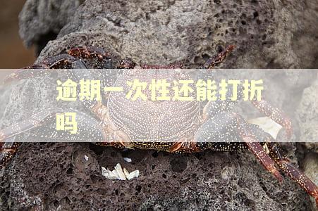 逾期一次性还能打折吗