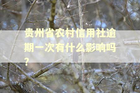 贵州省农村信用社逾期一次有什么影响吗?