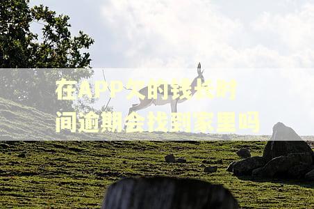 在APP欠的钱长时间逾期会找到家里吗