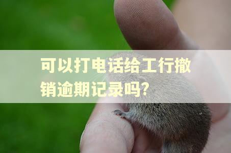 可以打电话给工行撤销逾期记录吗?