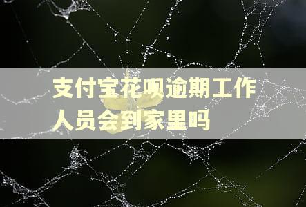 支付宝花呗逾期工作人员会到家里吗