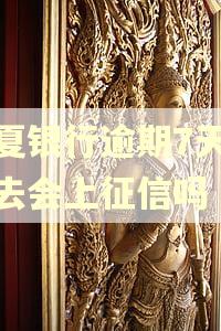 华夏银行逾期7天还进去会上征信吗 华夏银行逾期7天还进去会上征信吗