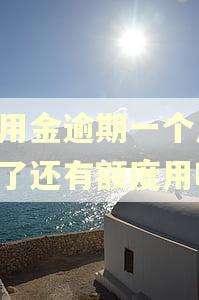 备用金逾期一个月,还了还有额度用吗