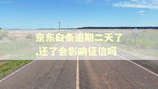 京东白条逾期二天了,还了会影响征信吗