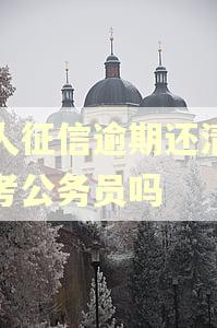 个人征信逾期还清后能考公务员吗