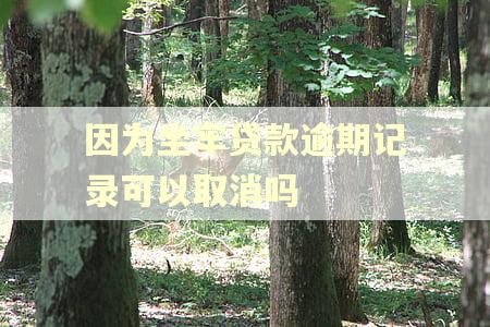 因为坐牢贷款逾期记录可以取消吗