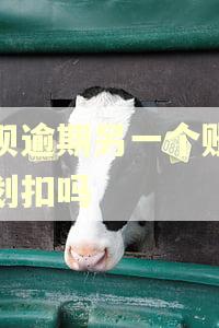花呗逾期另一个账号会划扣吗