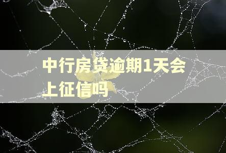 中行房贷逾期1天会上征信吗